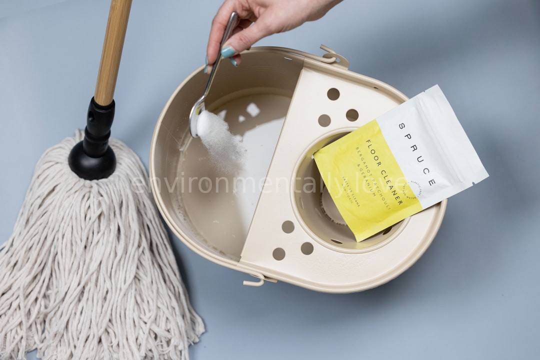 Clean Home